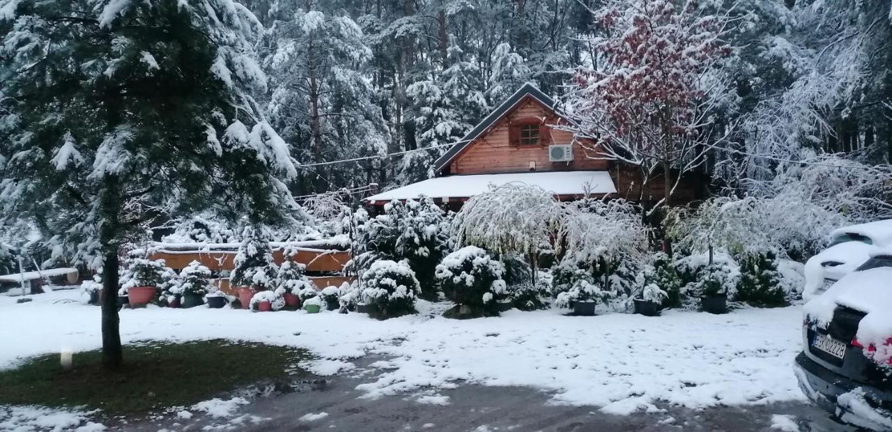 Domek W Ogrodzie Caloroczny 800M Od Parku Wodnego Suntago Ranczo Gold Mania Krzyzowka  Exterior foto